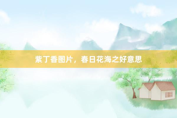 紫丁香图片，春日花海之好意思